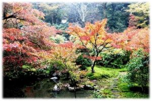 秋の三四郎池